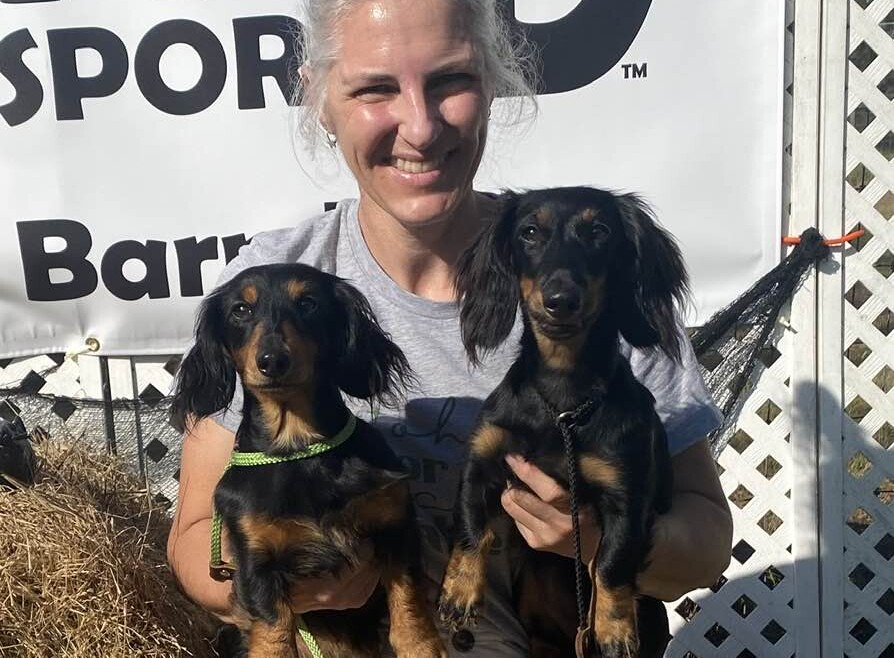 Barn Hunt Titles for Gus & Pip