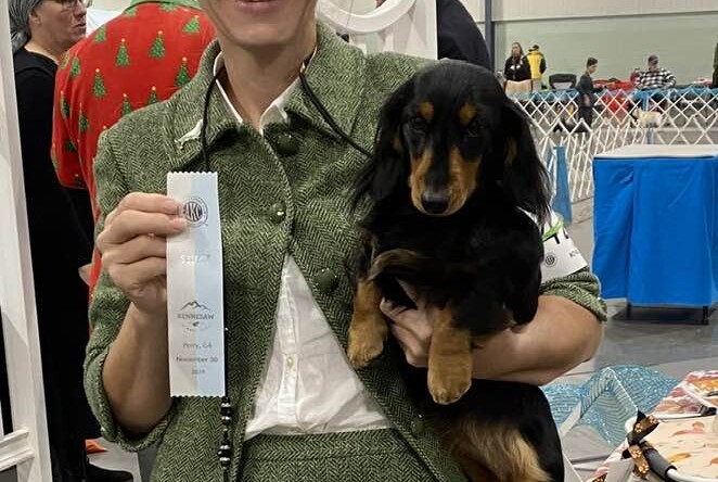 Gussie wins 5 Grand Champion Points in Perry!