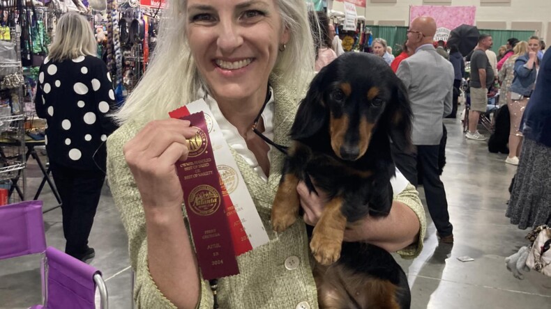 Valdosta Kennel Club, GCH Major for Gus