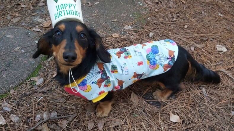 Gussie’s First Birthday!