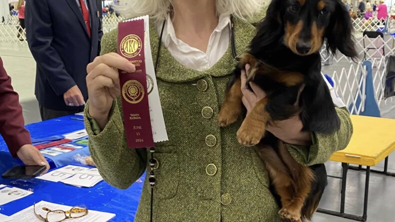Win for Gus at the Tampa Shows