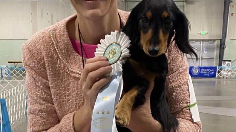 5-point Grand Champion Specialty Major for Gus