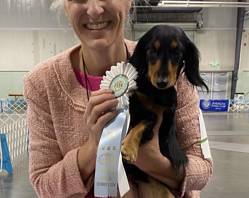 5-point Grand Champion Specialty Major for Gus