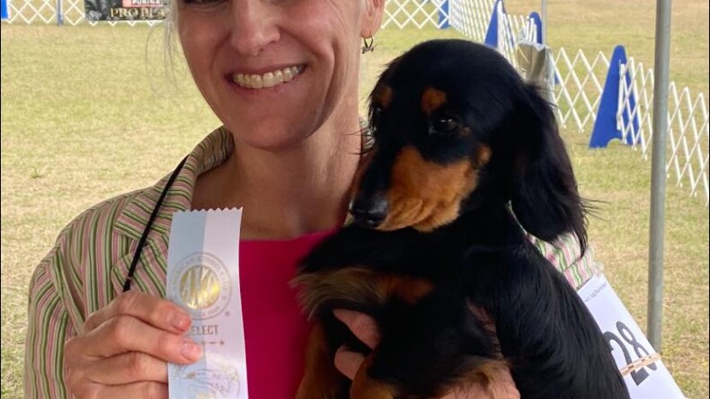 Gussie Goes Select in Brooksville