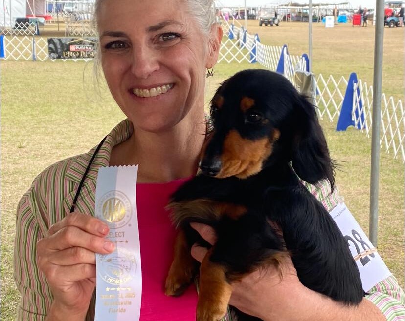 Gussie Goes Select in Brooksville