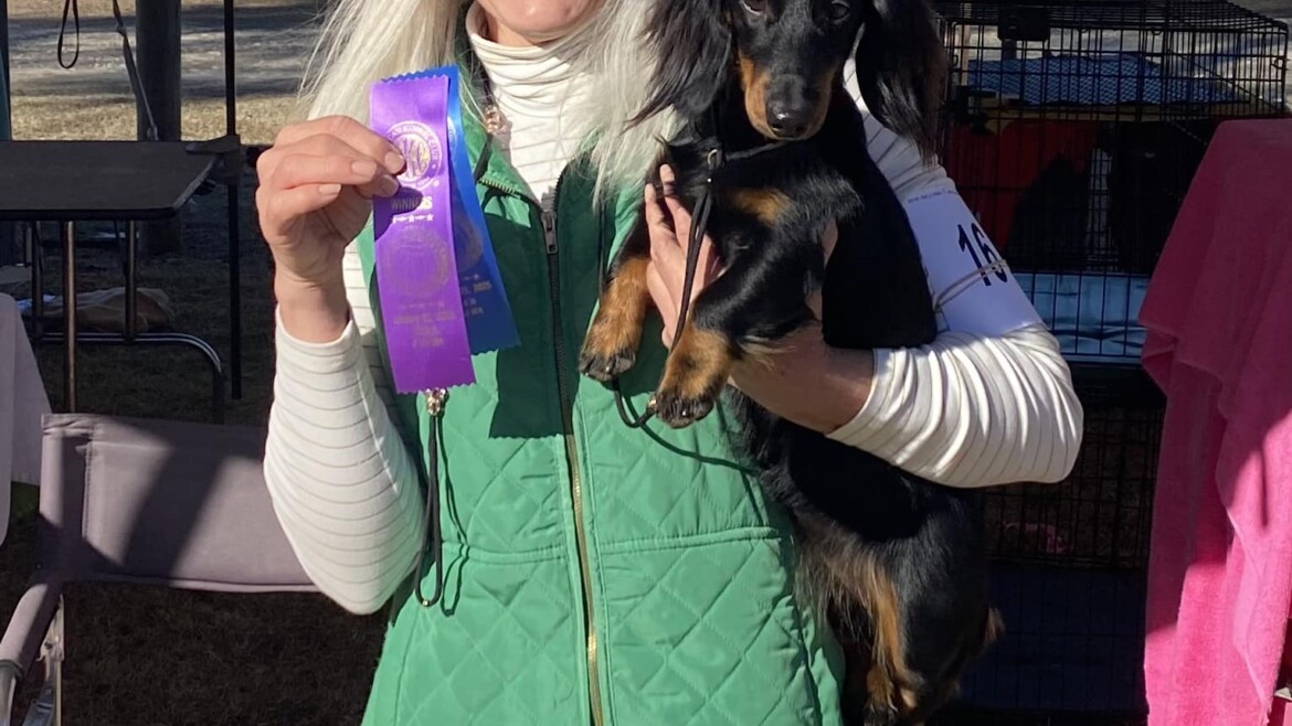 Pip Wins Her First 2 Points at 10 Months Old!