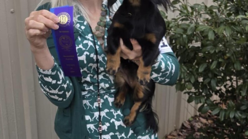 1 More Point for Pip!