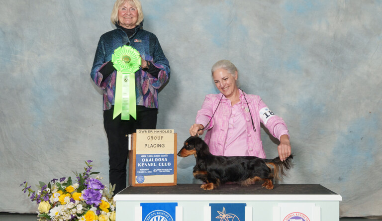 Owner-Handled Group 2 for Gus!
