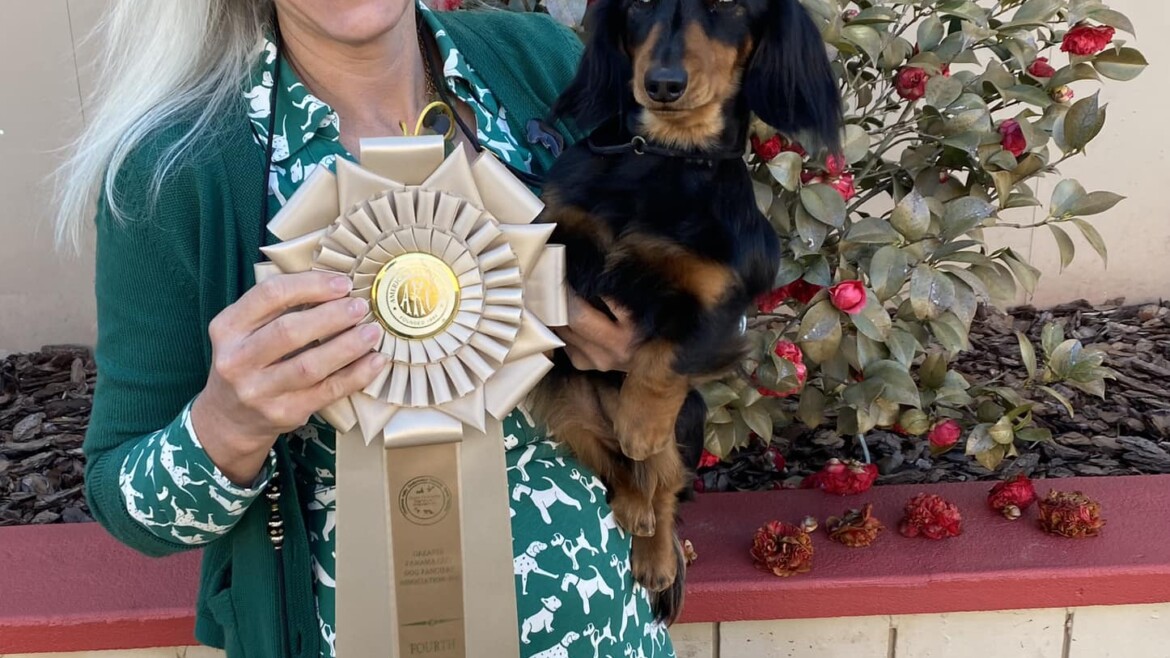 Owner-Handled Group 4 for Gus!