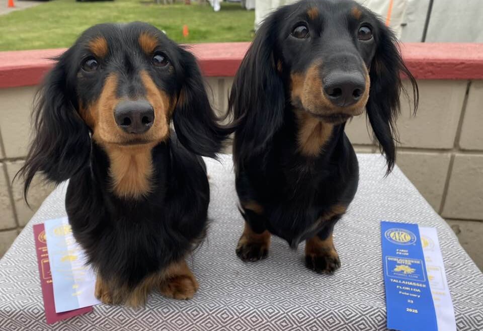 Select & Reserve for the Ween Team
